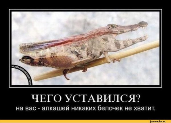 Матерные демотиваторы смешные