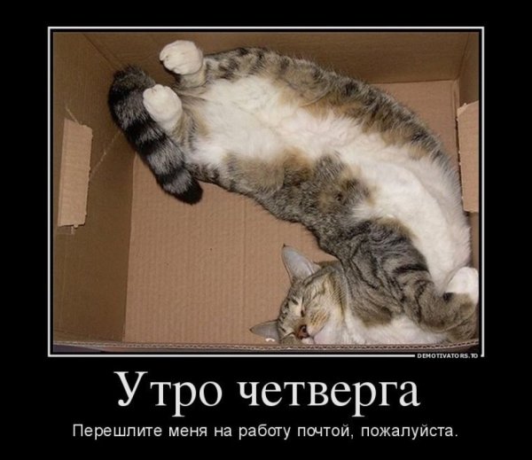 Умом Россию не понять приколы