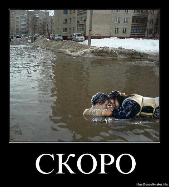 Демотиваторы про двор