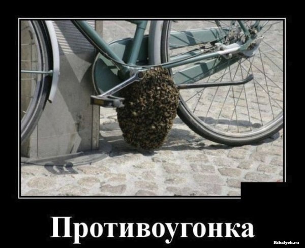 Противоугонка приколы