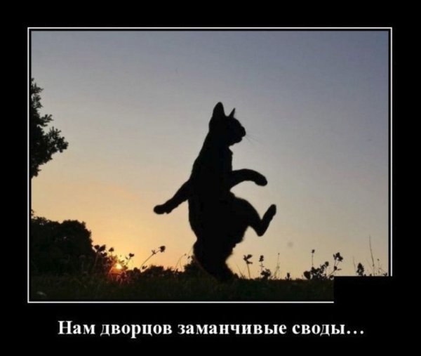 Демотиваторы позитивные смешные