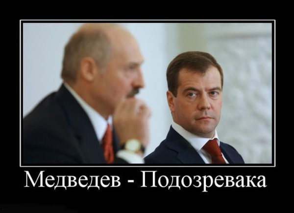 Медведев приколы