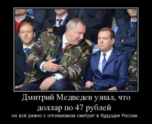 Медведев демотиваторы