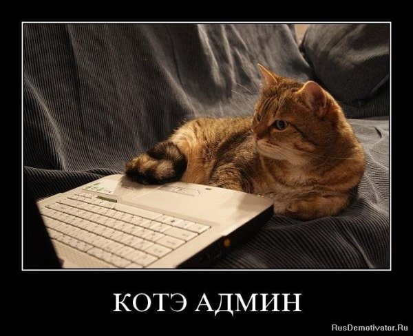 Коза демотиватор