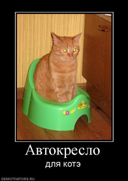 Демотиваторы кошки