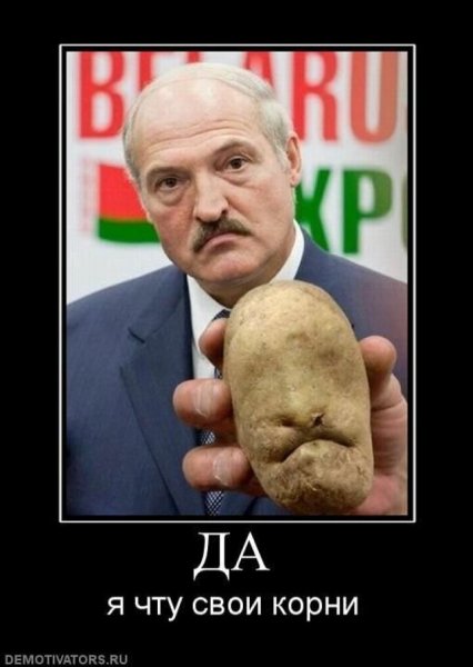 Лукашенко картошка