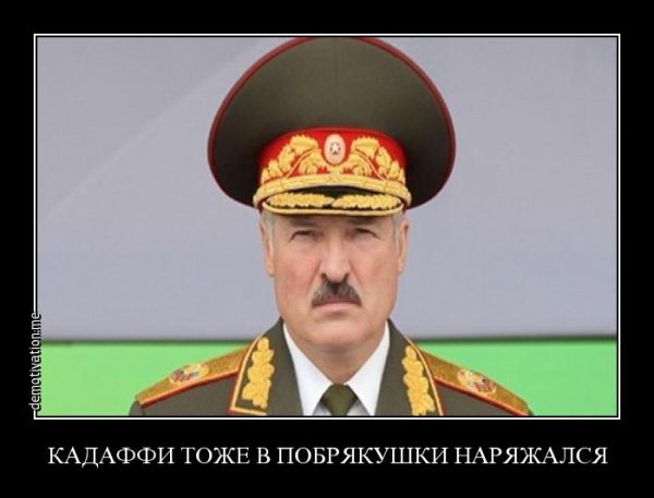 Лукашенко демотиваторы