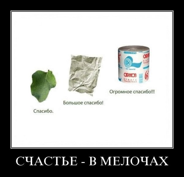 Благодарю демотиватор