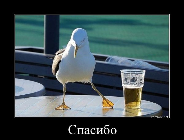 Благодарность демотиватор