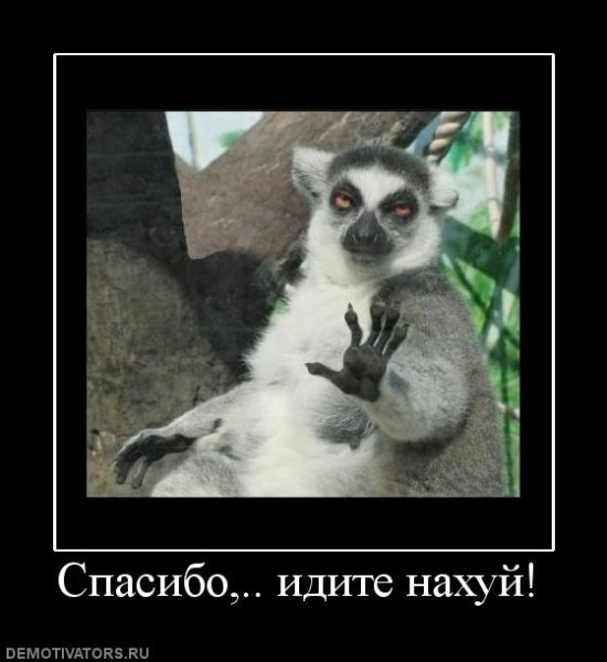 Спасибо идите лемур