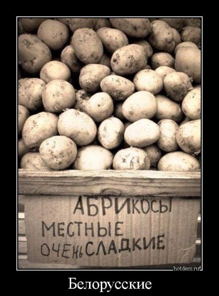 Шутки про белорусов и картошку