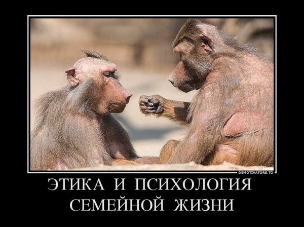 Остроумные демотиваторы