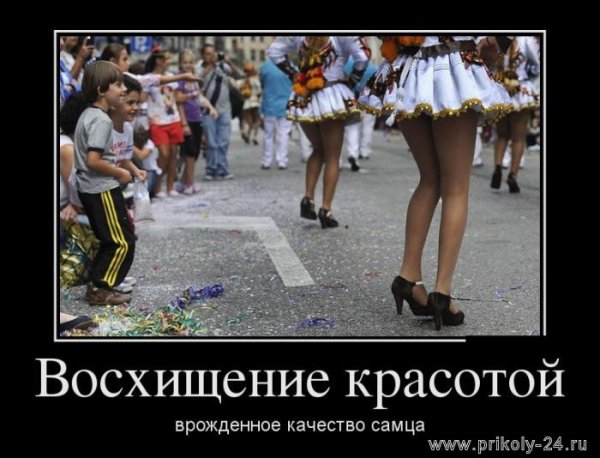 Демотиваторы про женщин