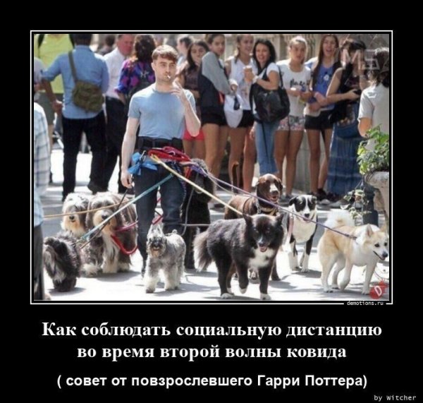 Прикольные демотиваторы