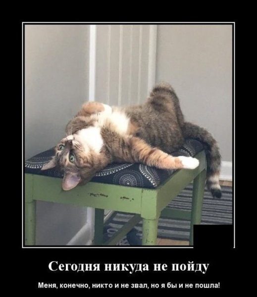 Прикольные демотиваторы