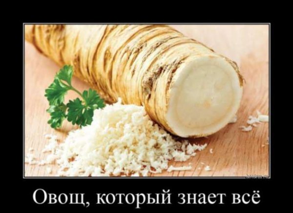 Нам нечего скрывать