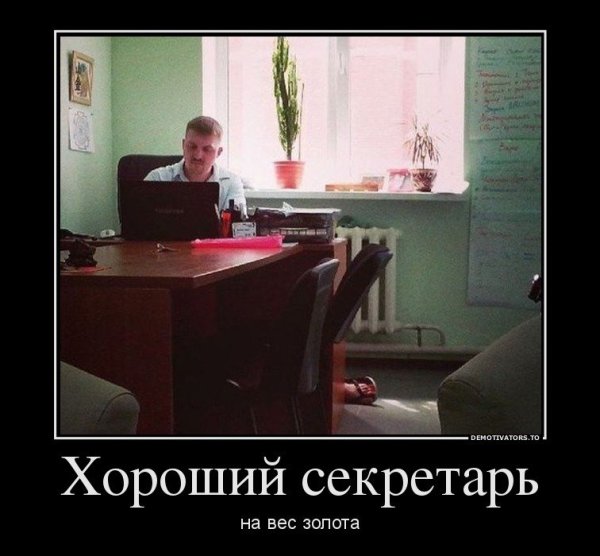 Секретарь демотиватор
