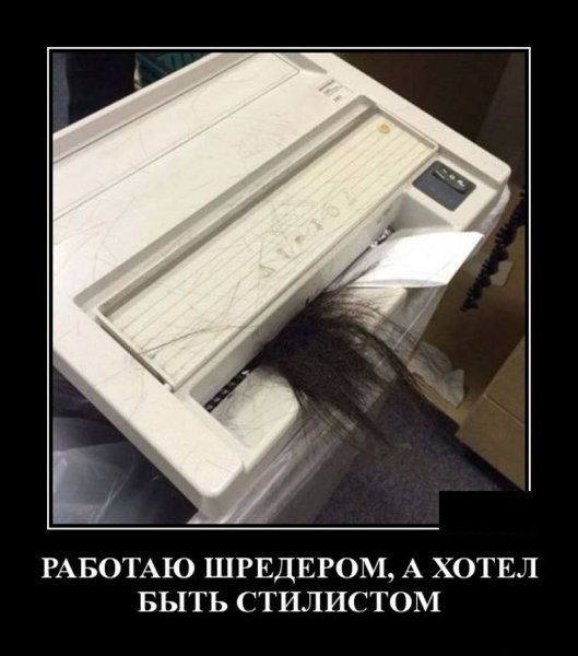 Секретарь демотиватор