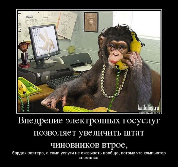 Бухгалтер демотиватор