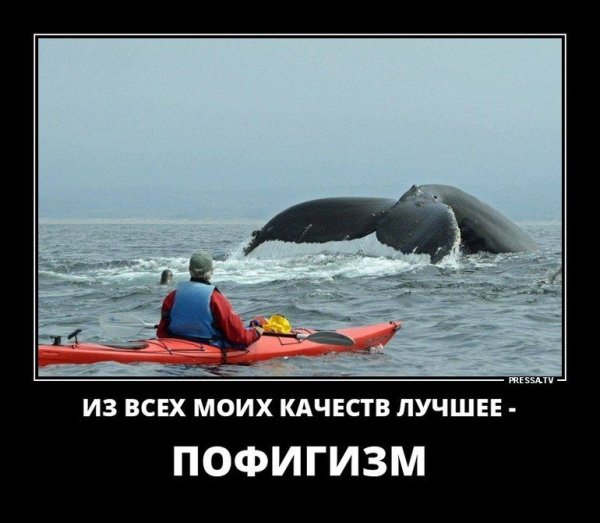 Демотиваторы приколы со смыслом