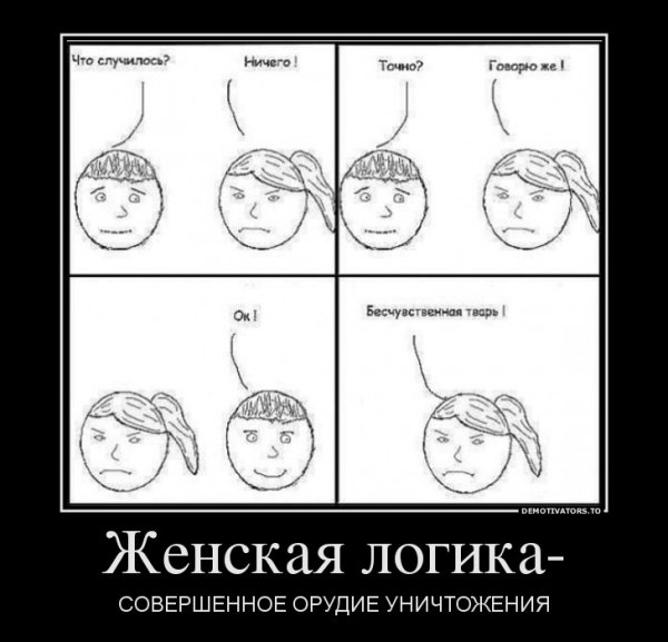 Женская логика
