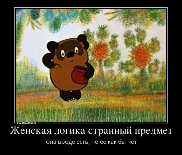 Женская логика странный предмет