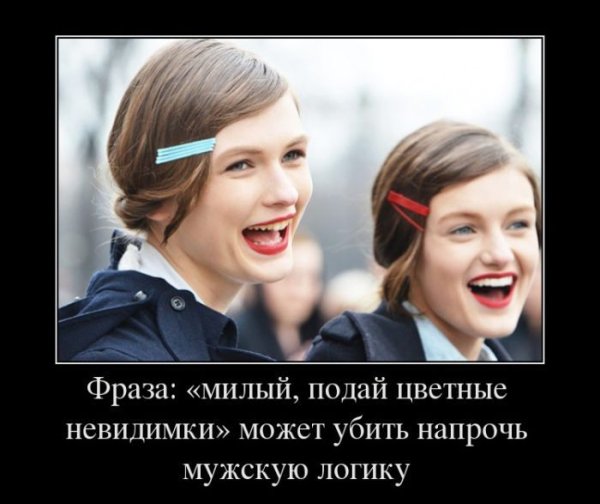 Мужская логика демотиватор