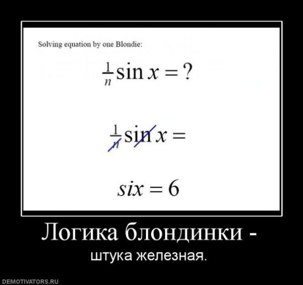 Мужская логика демотиватор