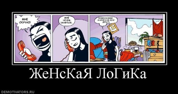 Женская логика Мем