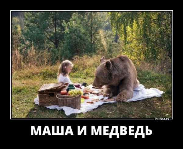 Демотиваторы это Россия детка
