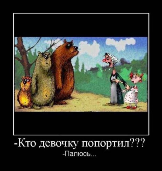 Демотиваторы с медведем смешные