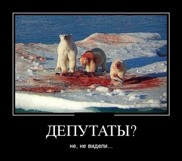Демотиваторы про троих