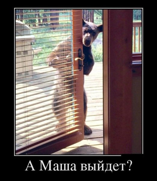 Демотиваторы про Марию
