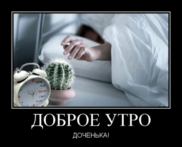 Демотиваторы с добрым утром