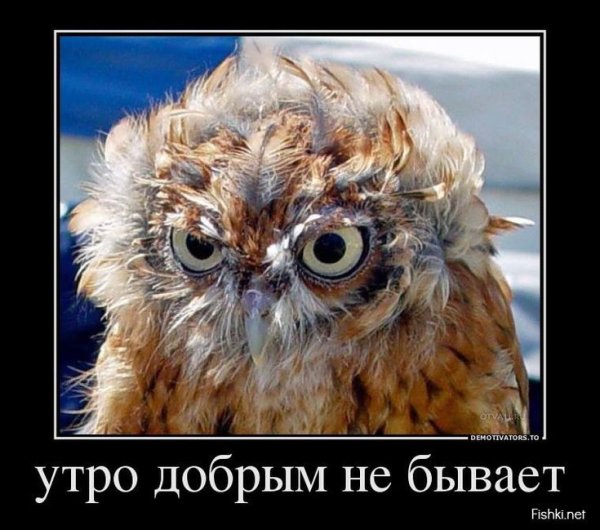 С добрым утром черный юмор