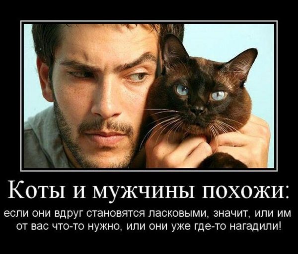 Приколы про мужчин