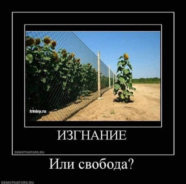 Мотиватор и демотиватор