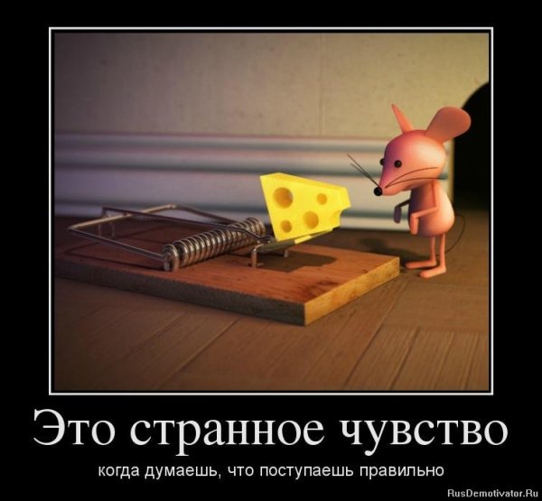 Демотиваторы про чувства