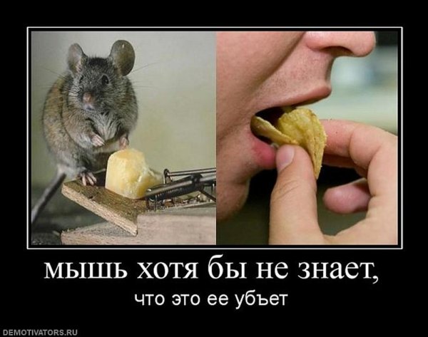 Мышь демотиватор