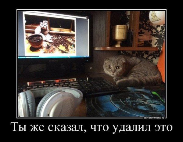 Самые смешные утренние демотиваторы