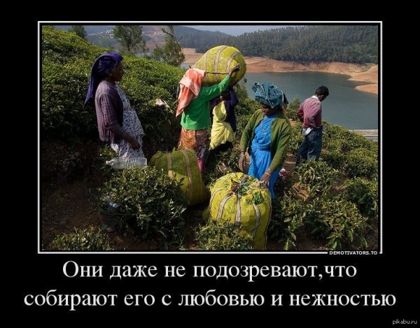 Демотиваторы смешные