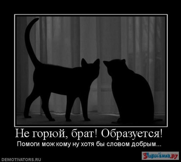 Демотиваторы о прощении