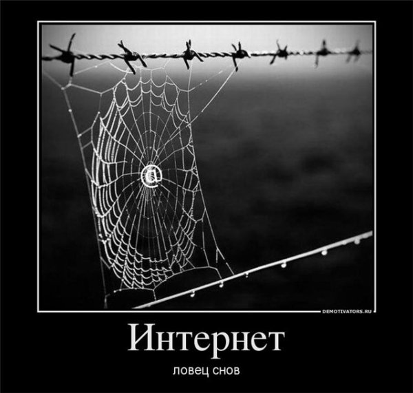 Демотиватор паутина