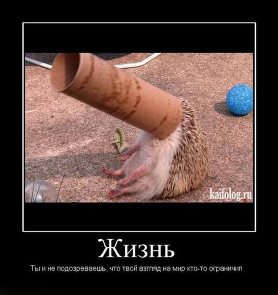 Демотиваторы со смыслом лучшее