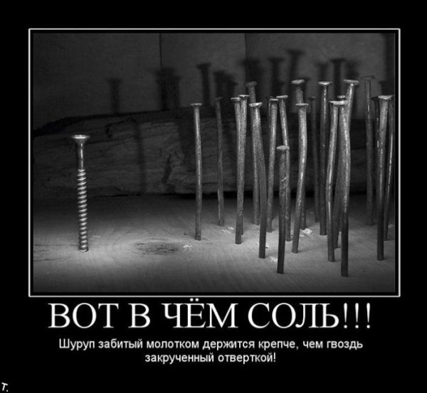 Философские шутки