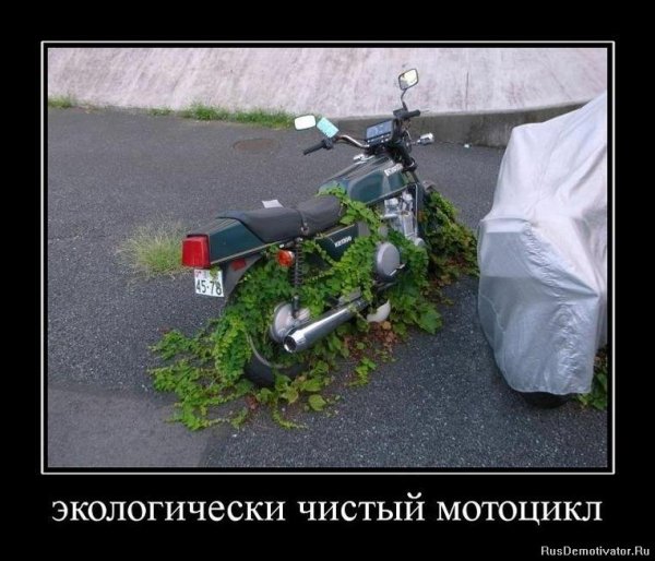 Демотиваторы про мотоциклы
