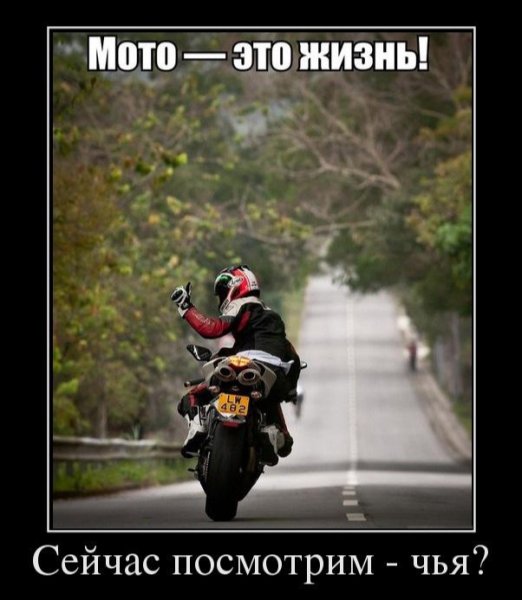 Мото цитаты со смыслом