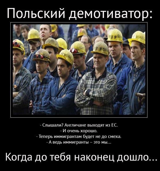 Поляки демотиваторы