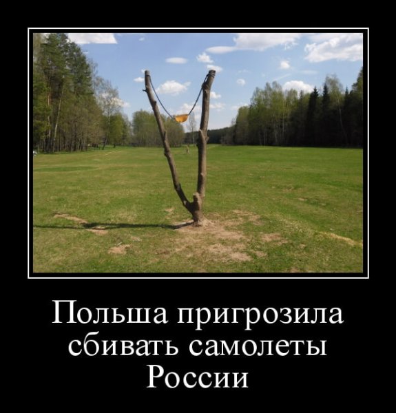 Смешной поляк