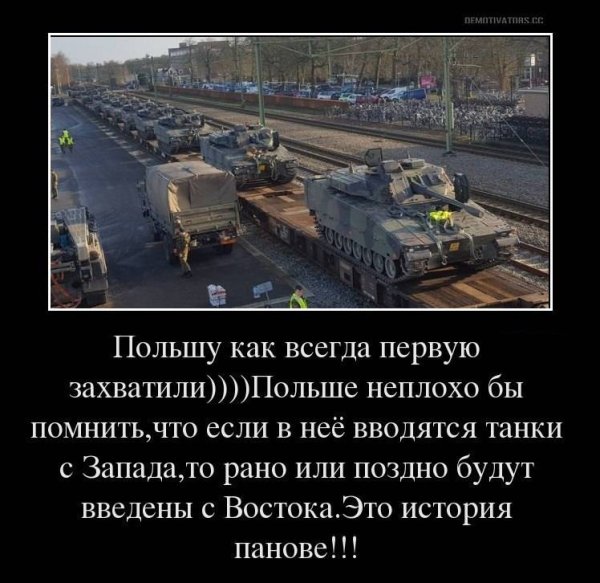 Поляки демотиваторы
